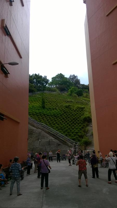 Looking up to the Ilha Verde hill