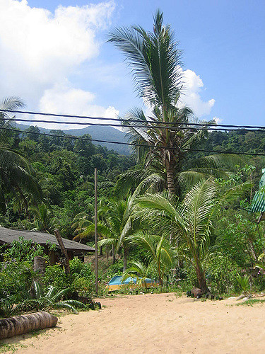 GoingNative 10-May-2006