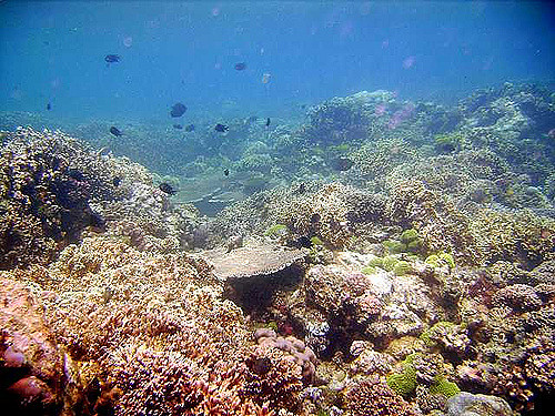 doesmondoo 29-Mar-2006