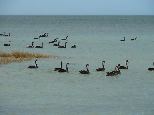 Peter Hahndorf 17-Apr-2007