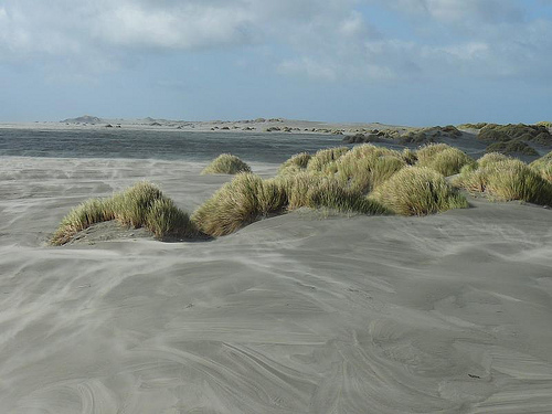 Peter Hahndorf 17-Apr-2007