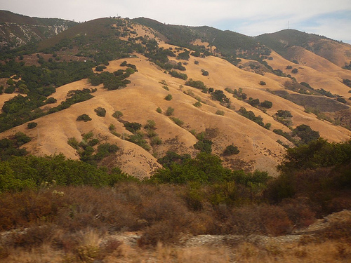 Peter Hahndorf 3-Oct-2008