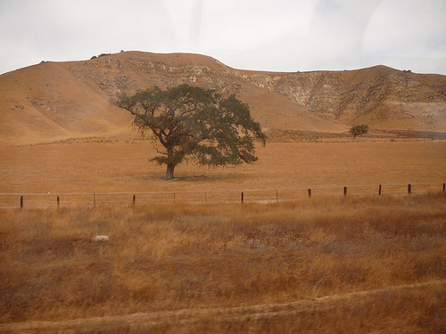 Peter Hahndorf 3-Oct-2008
