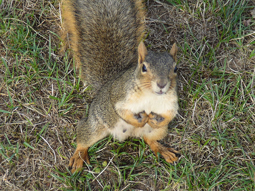 Peter Hahndorf 25-Sep-2008