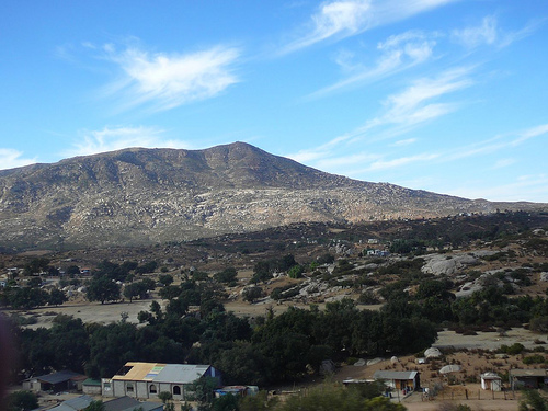 Peter Hahndorf 15-Oct-2008