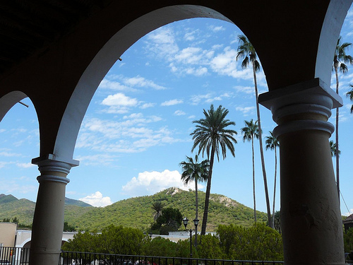 Peter Hahndorf 20-Oct-2008