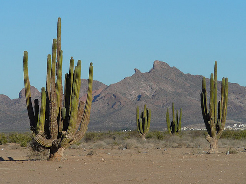 Peter Hahndorf 18-Oct-2008