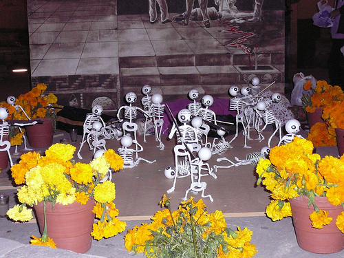 Peter Hahndorf 1-Nov-2008