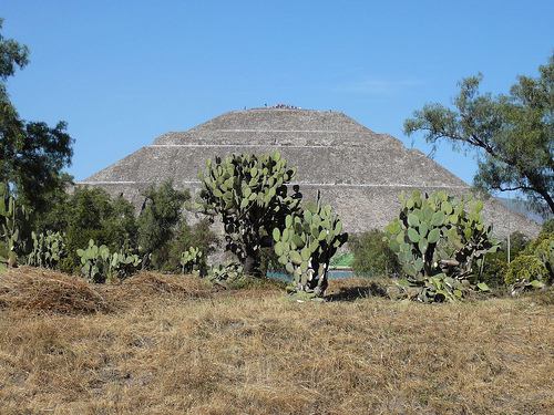 Peter Hahndorf 14-Nov-2008