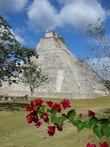 Peter Hahndorf 22-Dec-2008