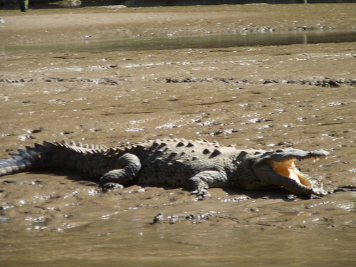 Peter Hahndorf 9-Dec-2008