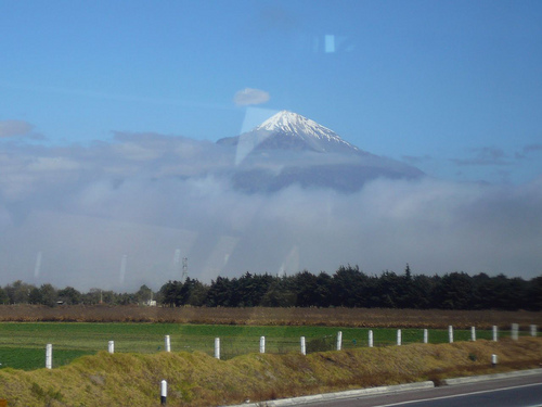 Peter Hahndorf 25-Nov-2008