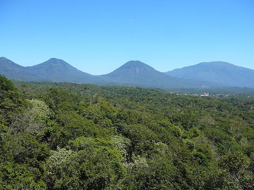 Peter Hahndorf 3-Mar-2009
