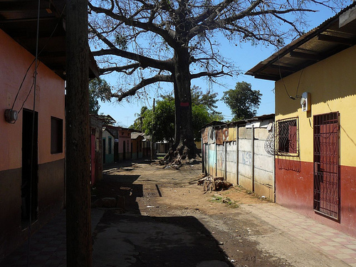 Peter Hahndorf 19-Mar-2009