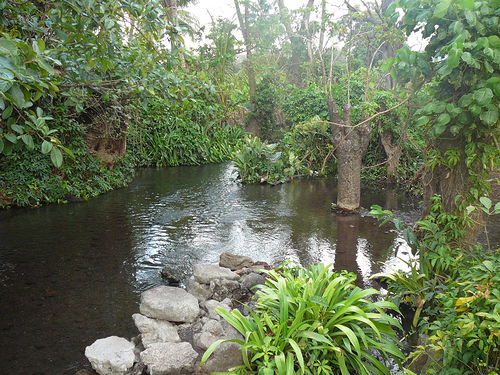 Peter Hahndorf 2-Apr-2009