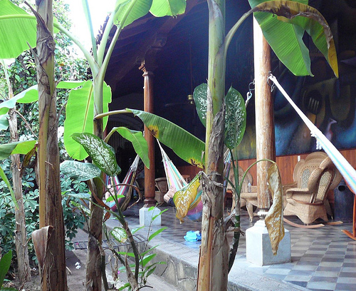 Peter Hahndorf 30-Mar-2009