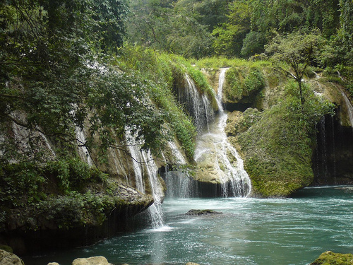 Peter Hahndorf 29-Jan-2009