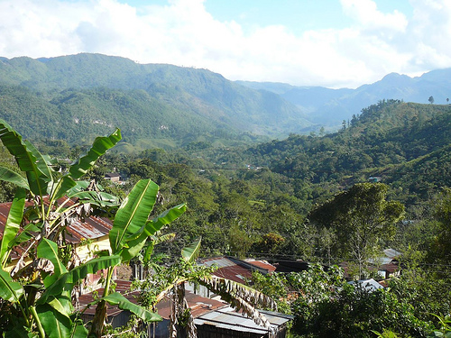 Peter Hahndorf 29-Jan-2009