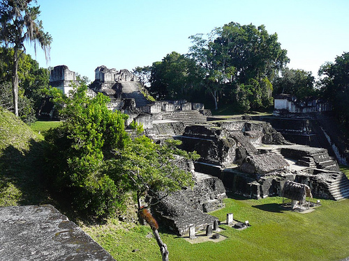 Peter Hahndorf 19-Jan-2009