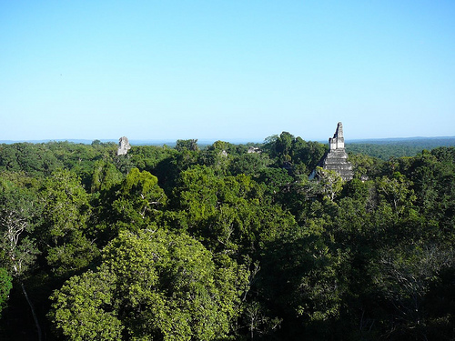Peter Hahndorf 19-Jan-2009