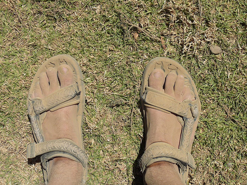 Peter Hahndorf 19-Feb-2009