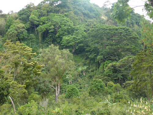 Peter Hahndorf 2-May-2009