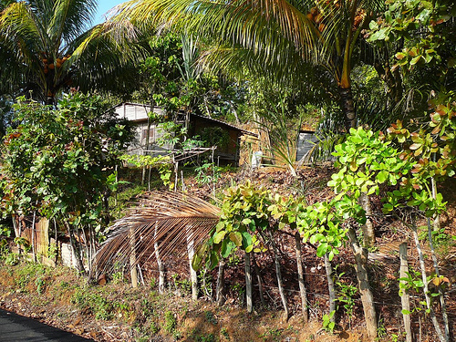 Peter Hahndorf 5-May-2009