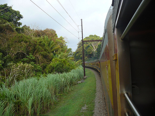 Peter Hahndorf 8-May-2009