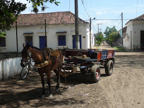 Peter Hahndorf 30-May-2009