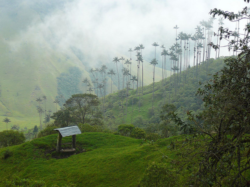 Peter Hahndorf 7-Jul-2009
