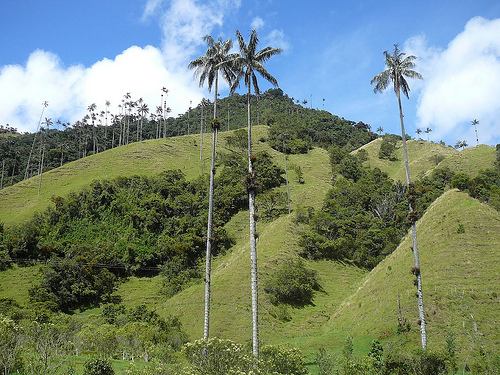 Peter Hahndorf 7-Jul-2009