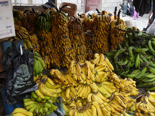 Peter Hahndorf 18-Jul-2009