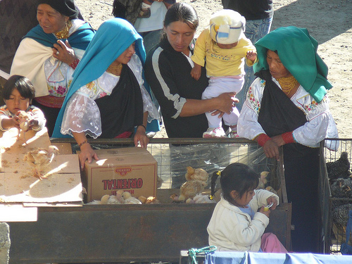 Peter Hahndorf 18-Jul-2009