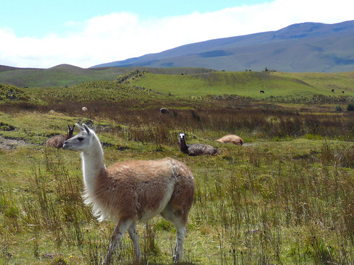 Peter Hahndorf 30-Jul-2009