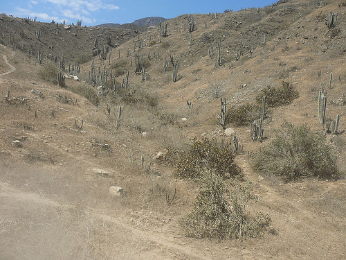 Peter Hahndorf 24-Aug-2009
