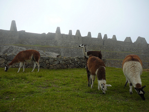 Peter Hahndorf 20-Oct-2009