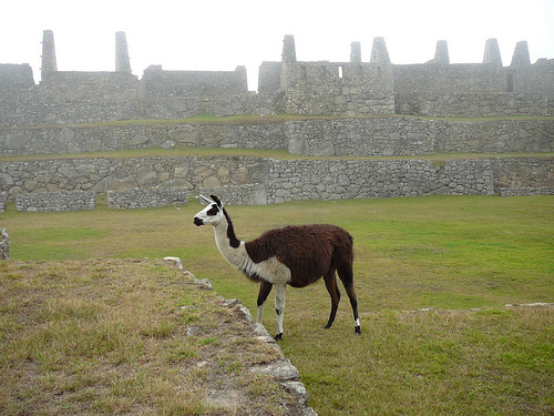Peter Hahndorf 20-Oct-2009