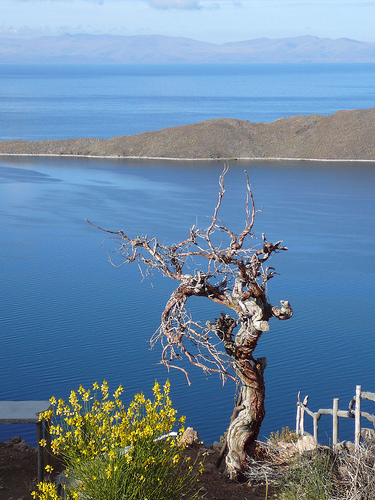 Peter Hahndorf 26-Oct-2009