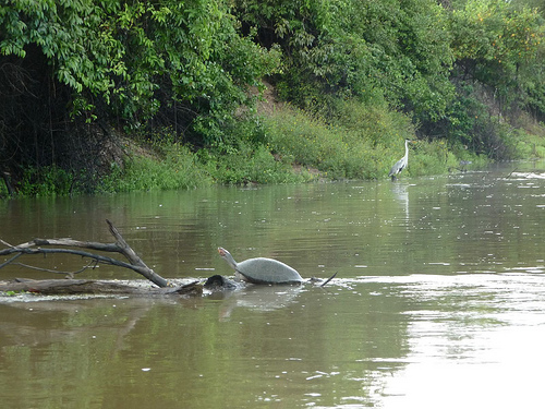 Peter Hahndorf 17-Dec-2009