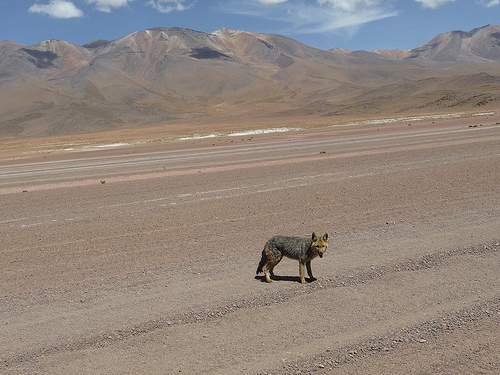 Peter Hahndorf 9-Jan-2010