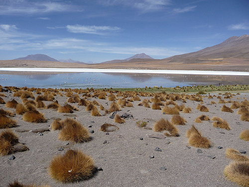 Peter Hahndorf 9-Jan-2010