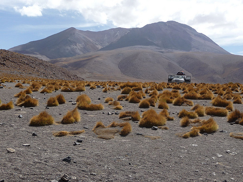 Peter Hahndorf 9-Jan-2010
