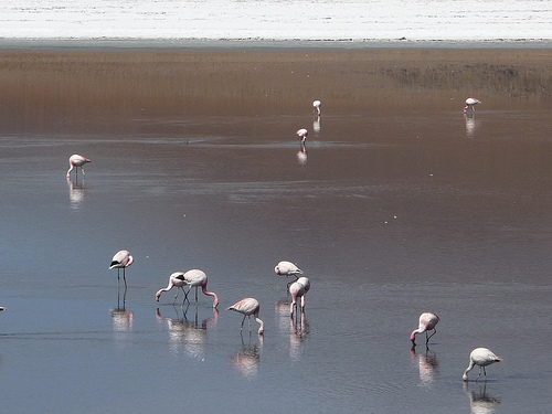 Peter Hahndorf 9-Jan-2010