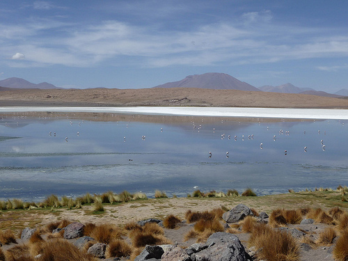 Peter Hahndorf 9-Jan-2010