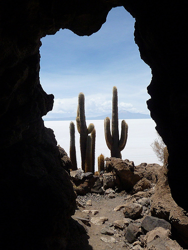 Peter Hahndorf 8-Jan-2010