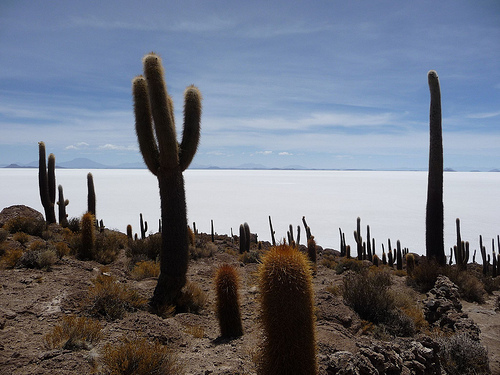 Peter Hahndorf 8-Jan-2010