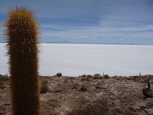 Peter Hahndorf 8-Jan-2010