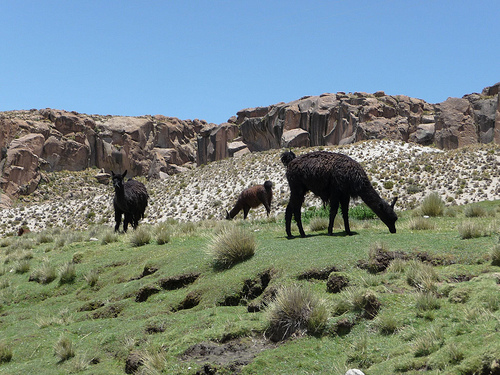 Peter Hahndorf 7-Jan-2010