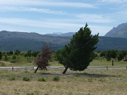 Peter Hahndorf 10-Feb-2010