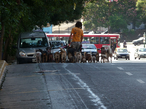 Peter Hahndorf 26-Feb-2010
